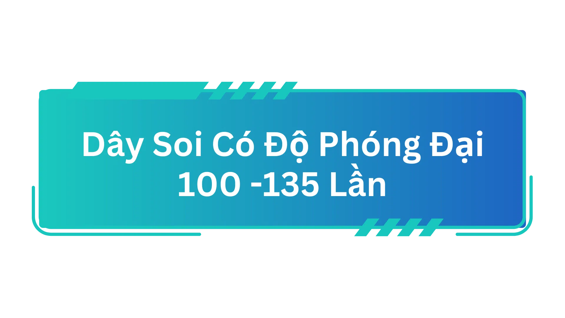 Dây soi có độ phóng đại 100-135 lần